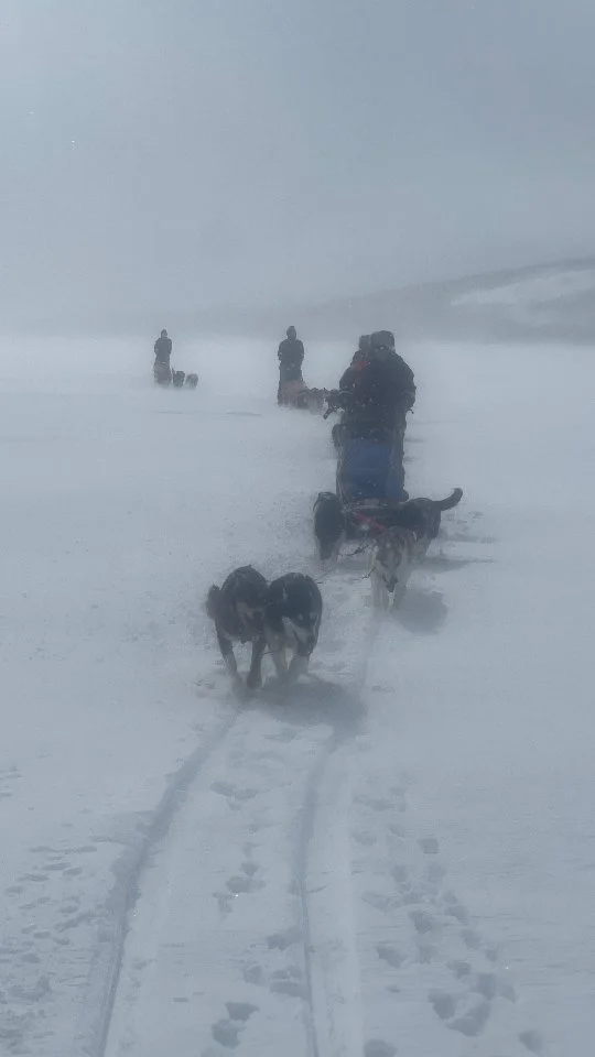 Expedition Recap 8
____
A real expedition isn’t just blue skies.
With winds of up to 110 km/h forecast, we packed up at 3 AM to get moving before the storm. Crossing Lake Överstjuktan, we faced already strong crosswinds and gusts — our dogs and guests did an incredible job here!  At the same time, two other teams were out on the trail as well. Reaching out to warn them about the incoming storm wasn’t easy for our Home Crew, as they were in areas without reception, so we were glad they had a @garminsweden inReach Mini with them, which made it possible to stay in touch via satellite. It was a relief to hear the next day that everyone was safe and well.  📷: @petterkarlssonsleddogs  #AdventureAwaits #ExpeditionLife #OutdoorAdventures #SledDogExpedition #StormChasing #WinterExpedition #WildernessAdventures #ArcticAdventure #DogSledding #OutdoorExploration #AdventureTravel #SurvivalSkills #ExpeditionExperience #WildernessSurvival #OffGridLiving #StormReady #RuggedAdventures #RemoteExpeditions #AdventureTravelers #HuskyExpedition #LaplandAdventure #ExtremeWeather #SledDogs #SurvivingTheStorm #NatureChallenge #DogSledTeam #AdventureSeeker #UnchartedTerritory #WinterChallenges #ExploreTheWild