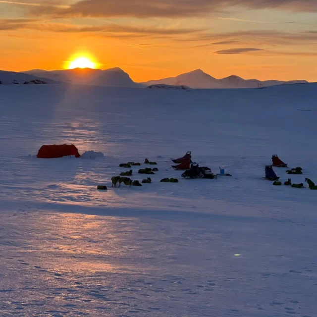 Expedition Recap 9
____
For the final part of our Expedition Recap, we’ll leave you  this sunset in the mountains.
A moment that speaks for itself.  📷: @petterkarlssonsleddogs  #ExpeditionLife #MountainSunset #LaplandAdventure #PetterKarlsson #WorldChampionMusher #WildernessEscape #HuskyExpedition #SleddogAdventure #BackcountryJourney #WinterCamping #ArcticExperience #RemoteTravel #OutdoorExploration #NatureLovers #ExploreLapland #NordicAdventure #SunsetViews #NorthernWilderness #AdventureAwaits #OffGridAdventure #WildScenery #FrozenWilderness #DogSleddingLife