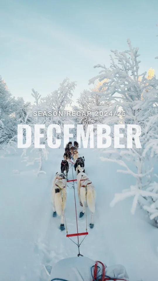 ▶️SEASON RECAP: DECEMBER 2025  And by the way, it has remained largely unopened to this day...  #ChristmasTraditions #WinterVibes #HolidayAdventure #OutdoorChristmas #SleddogLife #HuskyChristmas #LaplandMagic #ArcticHolidays #SnowyDays #MusherLife #ChristmasInTheWild #PetterKarlsson #DogsleddingAdventure #WinterWonderland #NordicChristmas #ExploreLapland #SwedenWinter #UniqueTraditions #OffGridHolidays #WinterEscape